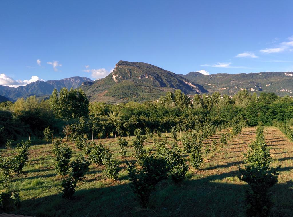 La Luna Nel Fiume Giffoni Valle Piana Exterior foto